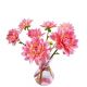 Flatflower F