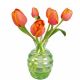 Flatflower M