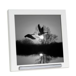 Een witte fotolijst, askader met een zilverkleurig buisje waarin u een klein beetje as kunt bewaren. Een mooie combinatie die ruimte geeft voor een foto en als asbestemming dient.