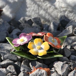 Porselein sleutelbloem kleur