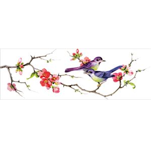 Lantaarn vogels