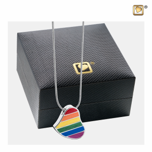 Regenboog hart ashanger