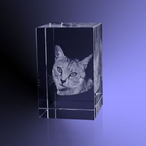 Foto huisdier 3d in kristal