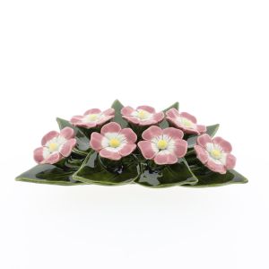 Primula porselein