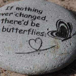 Tekststeen Butterflies