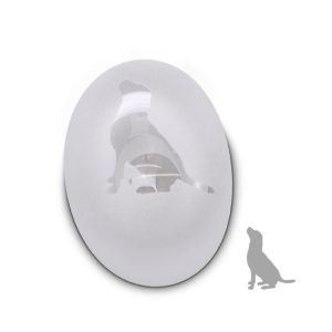 Urn glas hond of kat